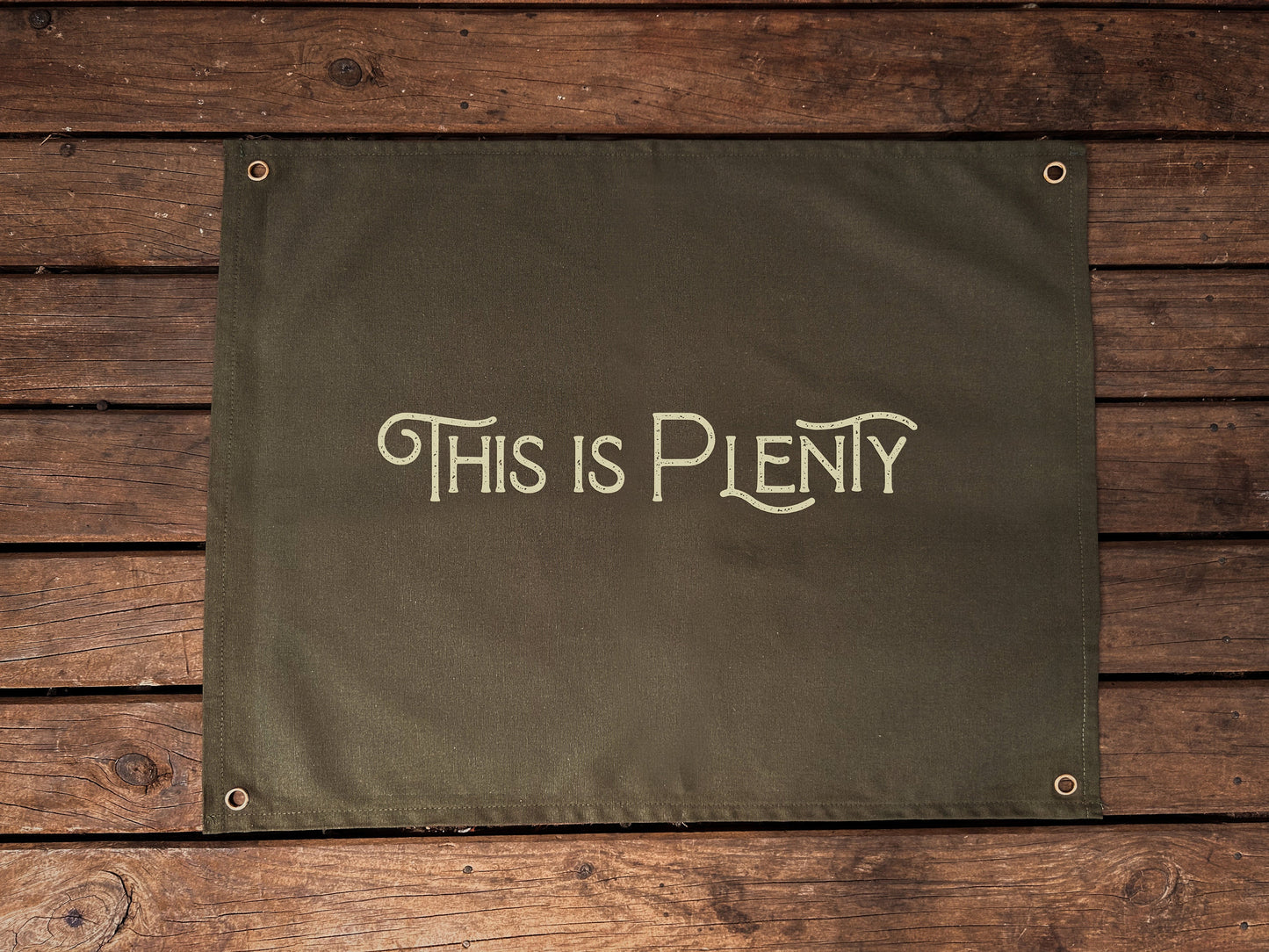 This is Plenty Canvas Banner