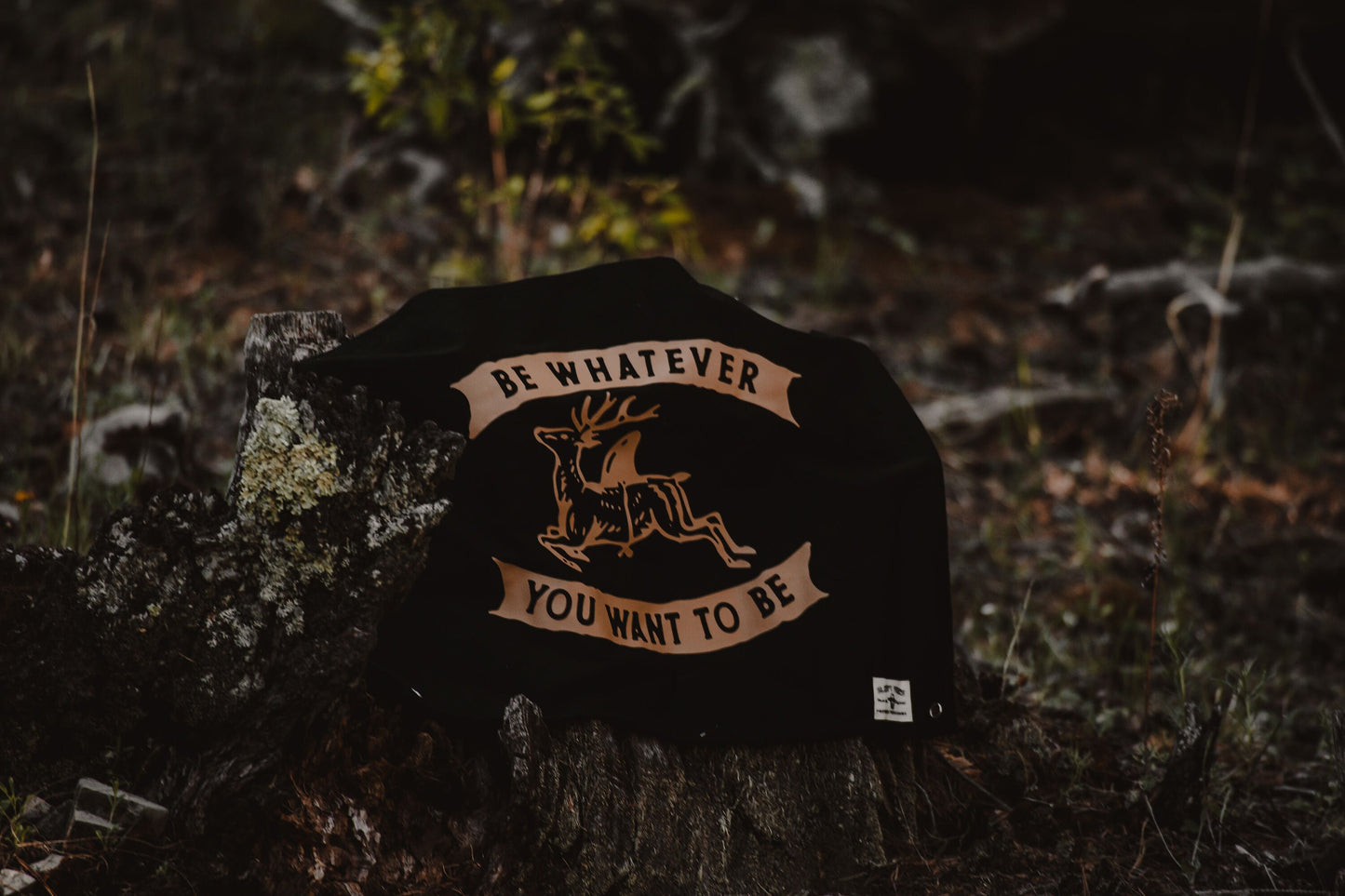 Be Whatever You Want to be Canvas Banner