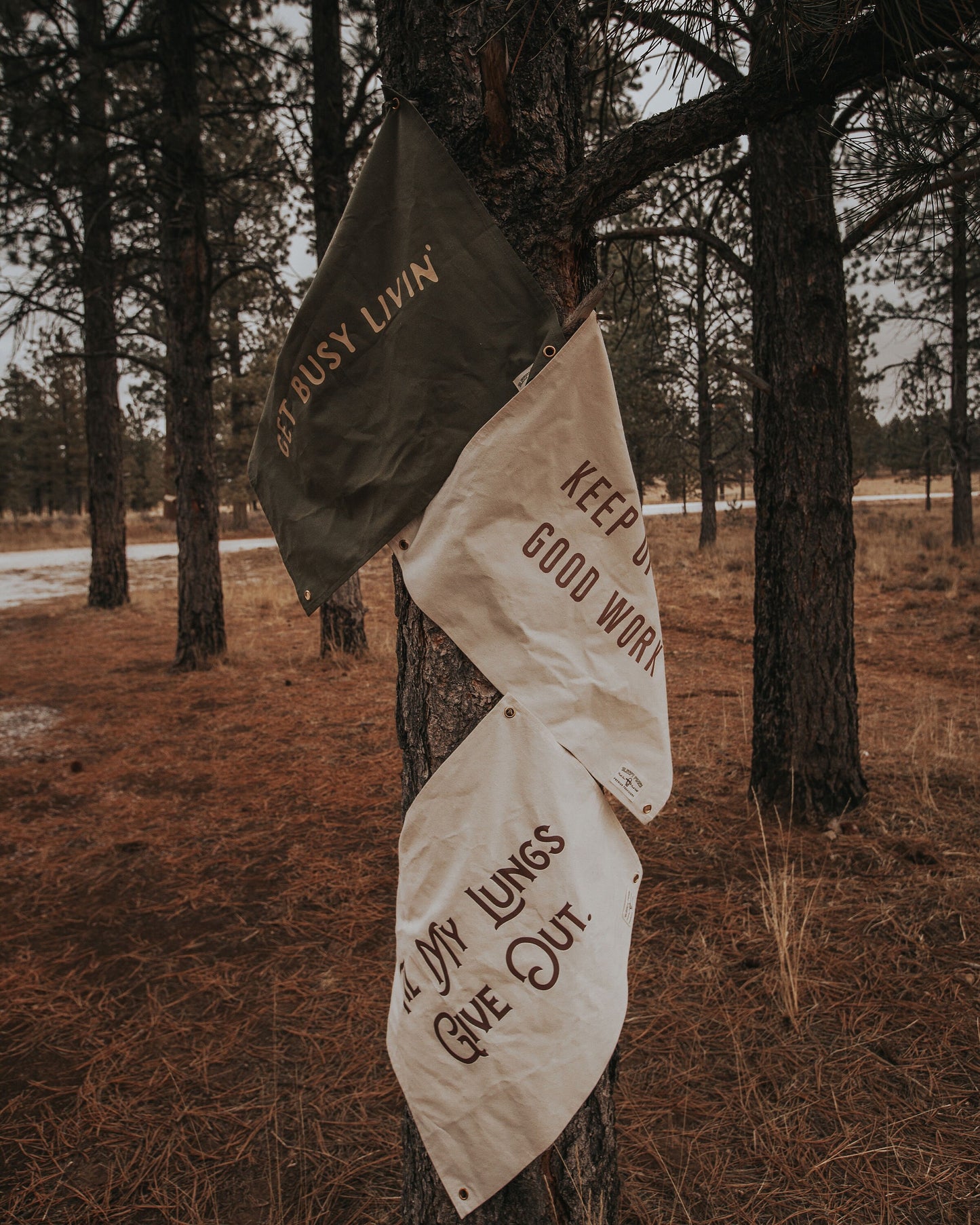 Til my Lungs Give Out Canvas Banner | 60 x 45 cm flag